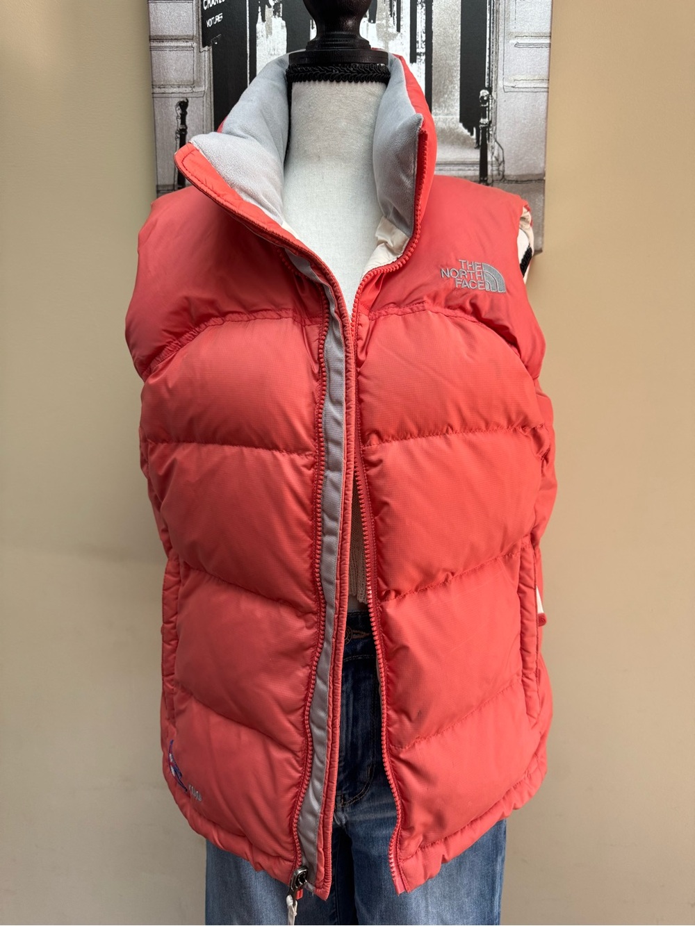 The North Face Women's Coral Puffer Vest
